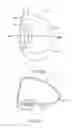 Fig. 43 - Golf club with flexure
