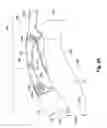 Fig. 03 - Golf bag and golf bag collar