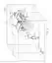 Fig. 10 - Sharing three-dimensional gameplay