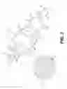 Fig. 04 - Filter adapter for a fuel injector