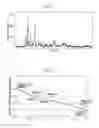 Fig. 02 - Exhaust gas purification catalyst