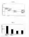 Fig. 04 - Exhaust gas purification catalyst