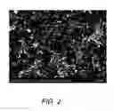 Fig. 03 - Preparation method of fluorine-doped lamellar black titanium dioxide nano material