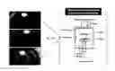 Fig. 01 - Method for improving solar energy conversion efficiency using metal oxide photocatalysts having energy band of core-shell for ultraviolet ray and visible light absorption and photocatalysts thereof