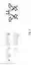 Fig. 04 - Dehydrogenation of neat formic acid