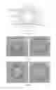 Fig. 04 - Multi-index detection microfluidic chip and methods of use