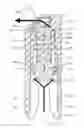 Fig. 01 - Teat cup with nozzle means