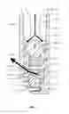 Fig. 05 - Teat cup with nozzle means