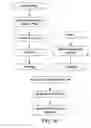 Fig. 12 - Methods of dispersing nanoparticles into a matrix