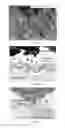 Fig. 02 - COATING COMPOSITIONS, APPLICATIONS THEREOF, AND METHODS OF FORMING