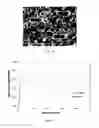 Fig. 10 - Laser ablation method for treating a copper alloy containing metallic surface and increasing hydrophobicity