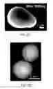 Fig. 05 - Stable undercooled metallic particles for engineering at ambient conditions