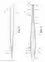 Fig. 02 - LOW TENSION TWEEZERS