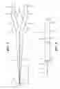 Fig. 03 - LOW TENSION TWEEZERS