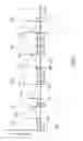 Fig. 06 - Tire pressure sensor device