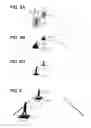 Fig. 09 - Display apparatus