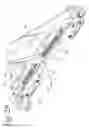 Fig. 20 - Leveling jack with direct actuation