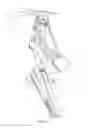 Fig. 06 - Skiing apparatus