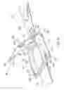 Fig. 03 - Safety device for prevention of accidental airbag depolyment