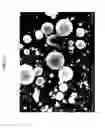 Fig. 04 - Spherical nanoparticle hydrides, and methods for making the same