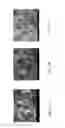 Fig. 04 - Thermal and environmental barrier coating for ceramic substrates