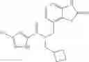 Fig. 35 - PKM2 modulators and methods for their use