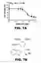 Fig. 08 - Disubstituted triazole analogs