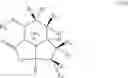 Fig. 49 - Tricyclic prodrugs