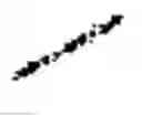 Fig. 03 - Compound having selective EP2 agonist activity