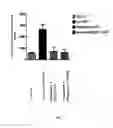 Fig. 07 - Prodrugs of NH-acidic compounds