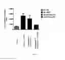 Fig. 08 - Prodrugs of NH-acidic compounds