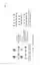 Fig. 08 - Thiol-X click foldamers for polymer affinity and catalysis libraries