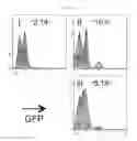 Fig. 28 - Zirconium-89 oxine complex as a cell labeling agent for positron emission tomography