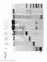 Fig. 07 - NUCLEIC ACID POLYHEDRA FROM SELF-ASSEMBLED VERTEX-CONTAINING FIXED-ANGLE NUCLEIC ACID STRUCTURES