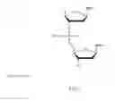 Fig. 02 - Partially Neutral Single-Stranded Oligonucleotide