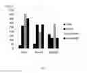 Fig. 06 - Partially Neutral Single-Stranded Oligonucleotide