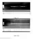 Fig. 09 - Partially Neutral Single-Stranded Oligonucleotide