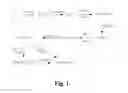 Fig. 02 - Proline compounds as Granzyme B inhibitors