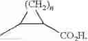 Fig. 14 - Proline compounds as Granzyme B inhibitors