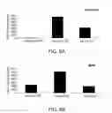 Fig. 09 - CHEMOKINE BINDING POLYPEPTIDES FOR TREATING AUTOIMMUNITY, AND INFLAMMATION