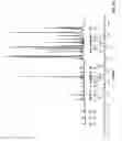 Fig. 28 - Cyclic peptide analogs and conjugates thereof