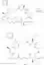 Fig. 348 - Cyclic peptide analogs and conjugates thereof