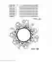 Fig. 04 - Stabilized anti-microbial peptides