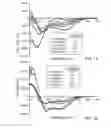 Fig. 08 - Stabilized anti-microbial peptides