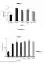 Fig. 04 - PRO-APOPTOTIC RAS AND RAF PEPTIDES