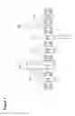 Fig. 02 - Claudin-6-specific immunoreceptors and T cell epitopes