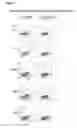 Fig. 08 - Superagonists and antagonists of interleukin-2