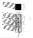Fig. 08 - Binding molecules against Chikungunya virus and uses thereof