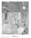 Fig. 03 - Anti-glucosaminidase passive immunization for infections