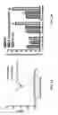 Fig. 07 - Anti-glucosaminidase passive immunization for infections